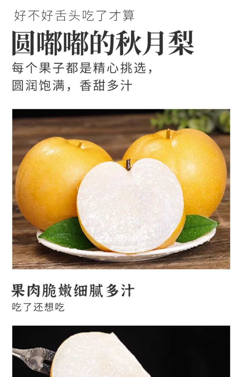 鲜小盼 正宗秋月梨【3斤】新鲜梨当季现摘莱阳冰糖梨雪梨蜜梨水果