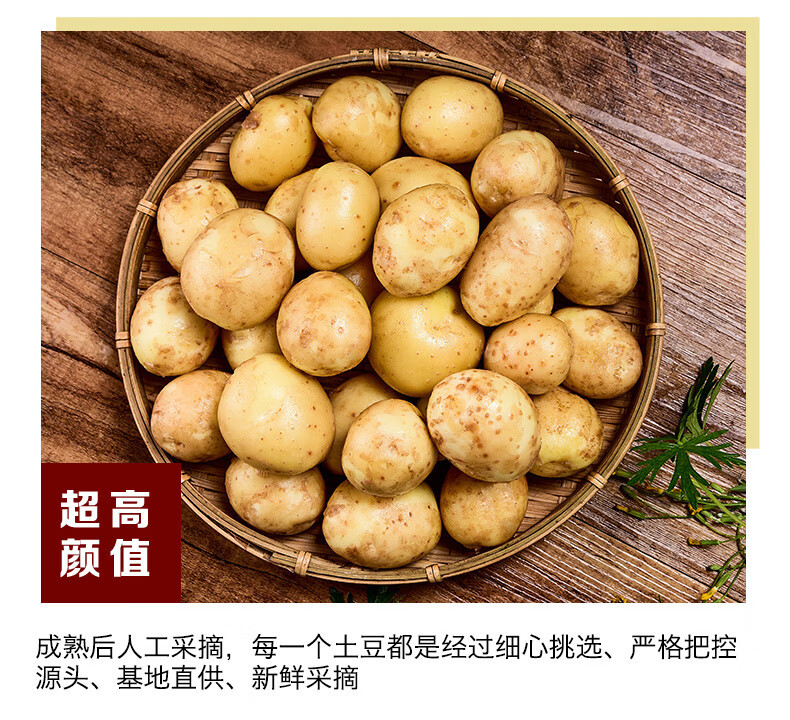 鲜小盼 湖北恩施小土豆【3斤迷你果】新鲜黄心土豆当季蔬菜整箱马铃薯洋