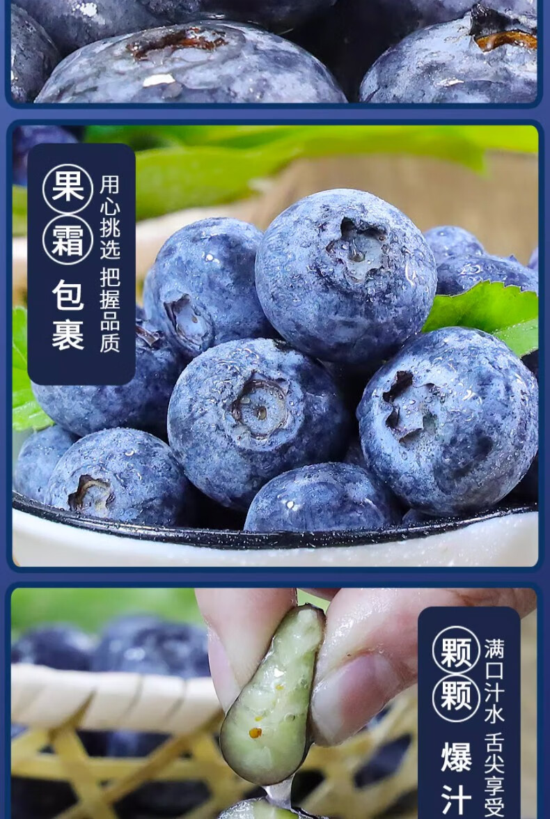 鲜小盼 云南新鲜露天蓝莓125g*2盒 当季时令水果酸甜大果现摘现发