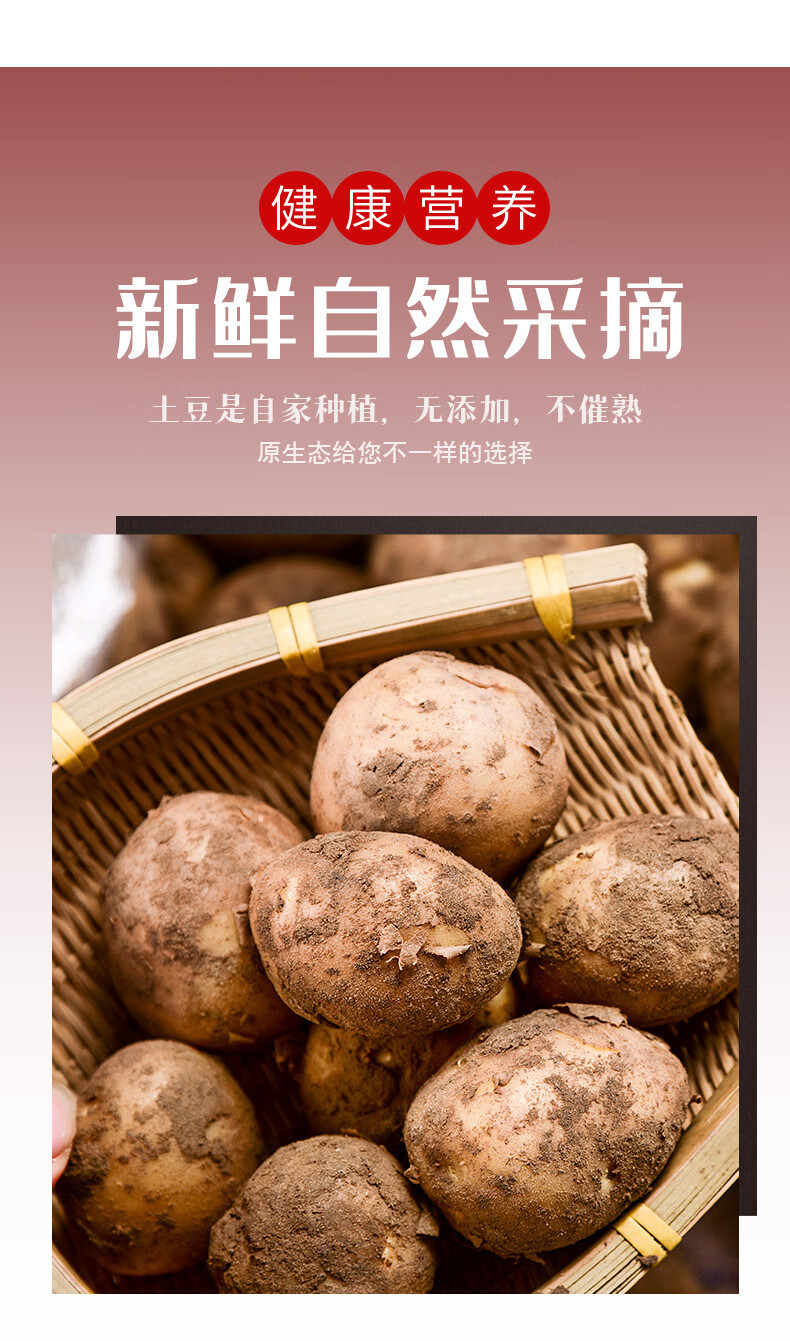 鲜小盼 湖北恩施小土豆【3斤迷你果】新鲜黄心土豆当季蔬菜整箱马铃薯洋