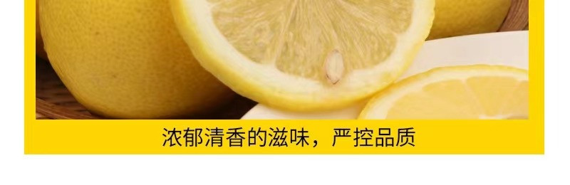 山菓树 【直播专享】四川安岳黄柠檬酸爽多汁鲜果