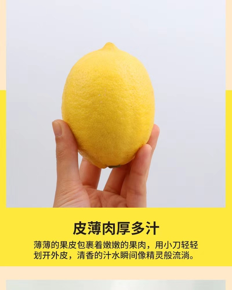 山菓树 【直播专享】四川安岳黄柠檬酸爽多汁鲜果