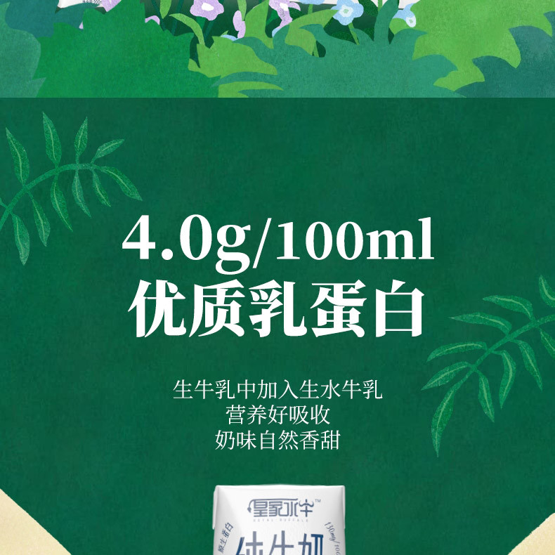 皇氏乳业 皇家水牛4.0g蛋白纯牛奶