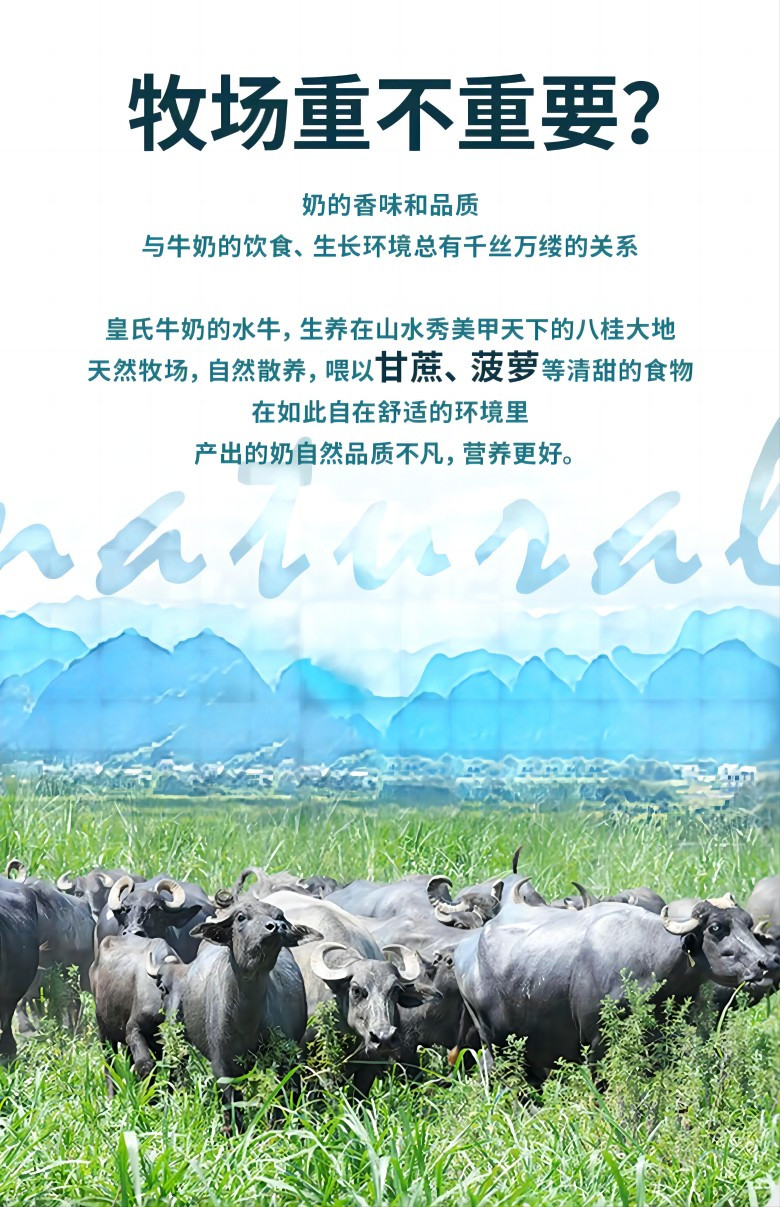 皇氏乳业 甲天下水牛纯牛奶