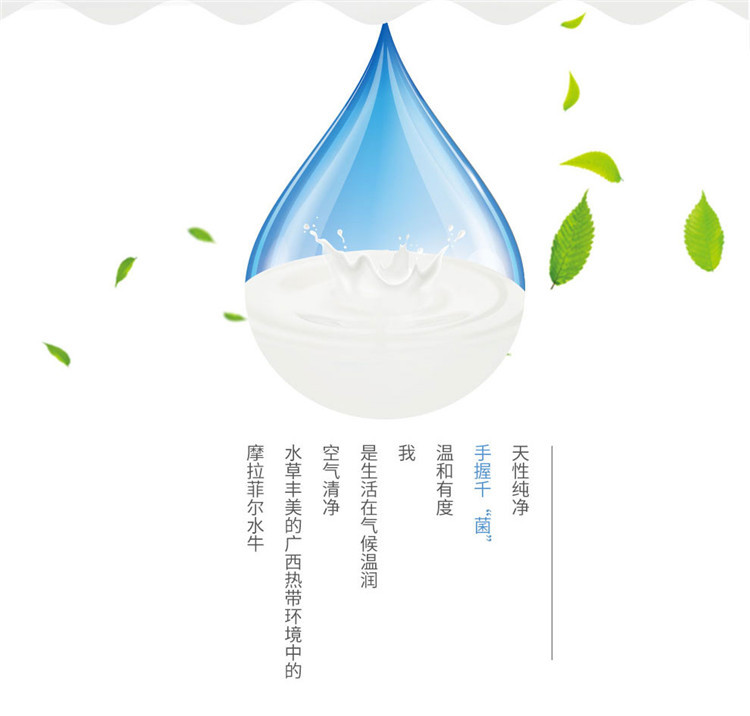 皇氏乳业 摩拉菲尔清养水牛纯牛奶