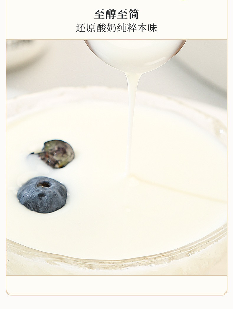 皇氏乳业  低温风味乳品添加益生菌酸牛奶
