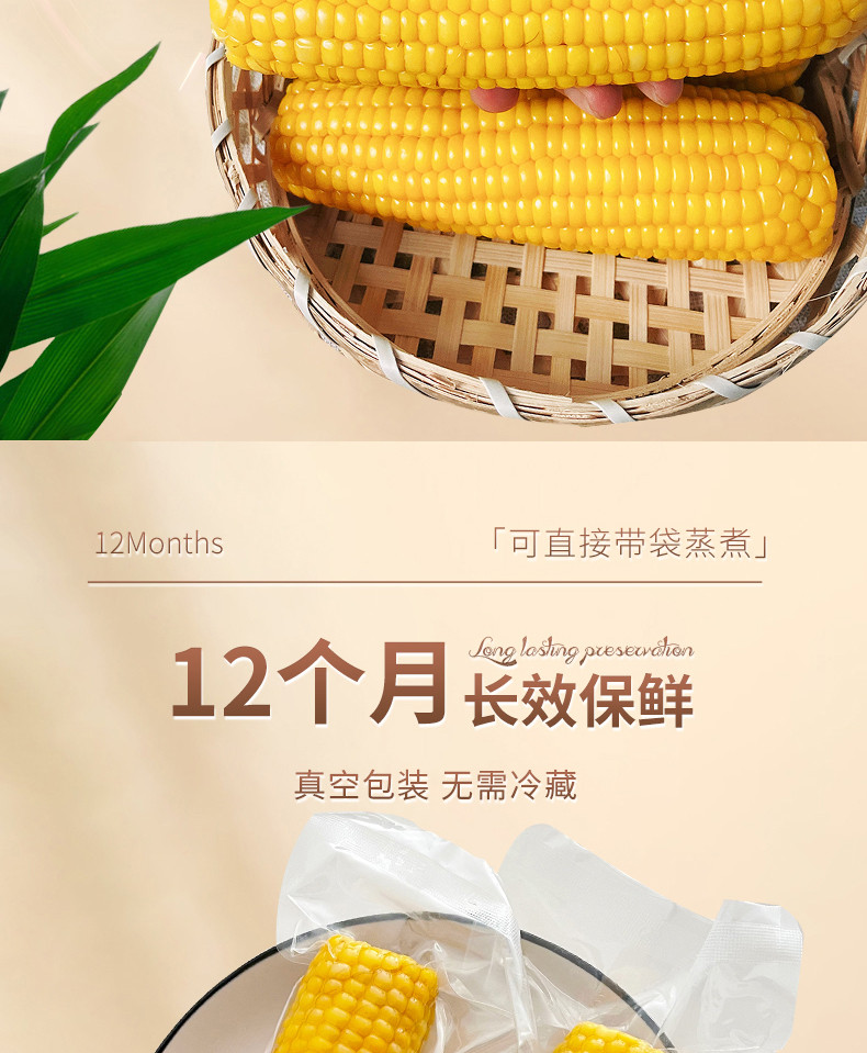 郭老丈 黄糯玉米200g*8穗