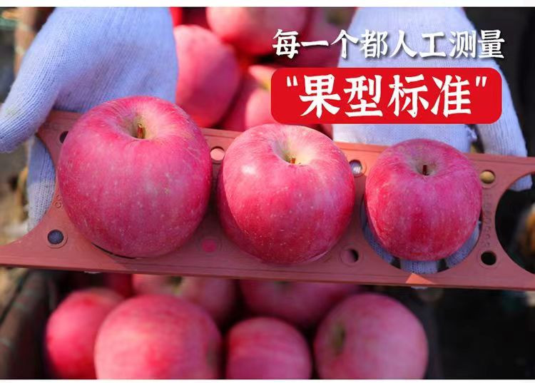 晗梅 巴东县红苹果10斤/箱