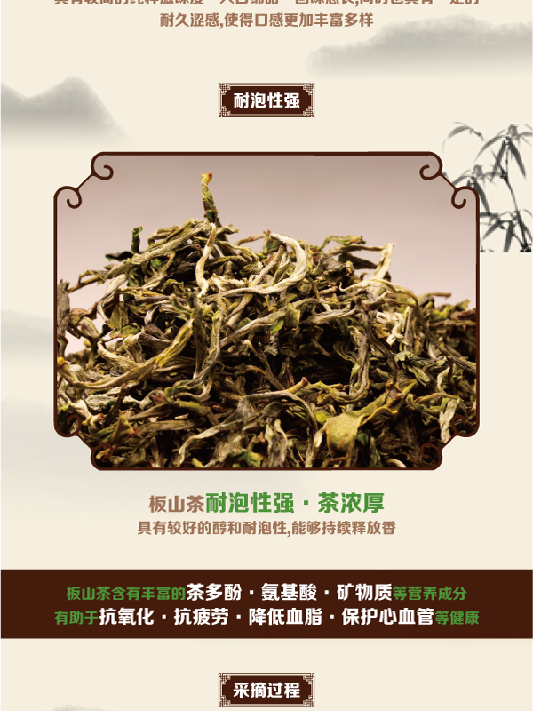 农家自产 板山青普洱茶品味源头茶厂