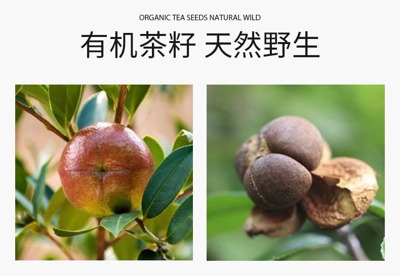 得尔乐  有机山茶油茶籽油1L食用油 冷榨一级 低温榨取适用孕妇宝宝