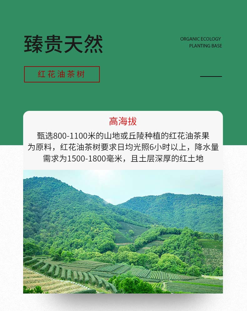 得尔乐 高山红花低温山茶油礼盒500mlX2瓶 有机油茶籽油