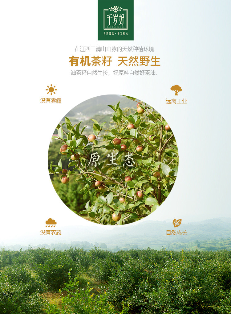 千岁好 有机山茶油1L铁罐  压榨一级 油茶籽油 食用油