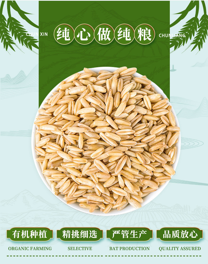 北纯 有机燕麦东北五谷杂粮粗粮粥饭 燕麦米1.4kg罐装