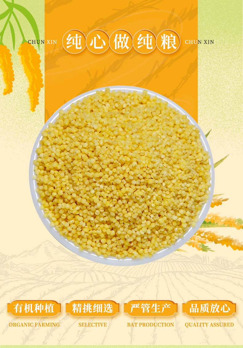 北纯 有机黄小米1.5kg罐装东北杂粮粗粮粥饭 无添加 不染色