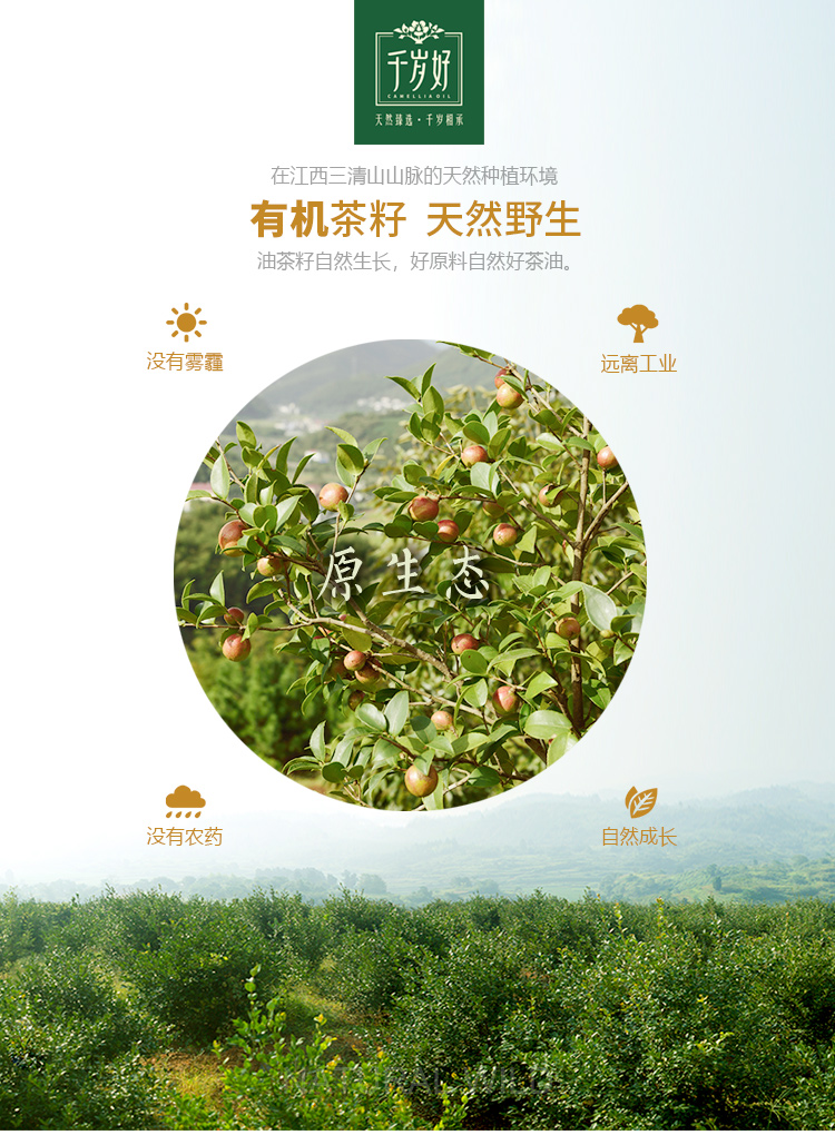 千岁好 有机山茶油礼盒500mlX2瓶食用油 压榨一级 送礼礼盒