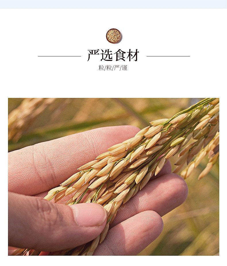 谷麦郎 糙米500g*2五谷杂粮粗粮农家生态新米胚芽米