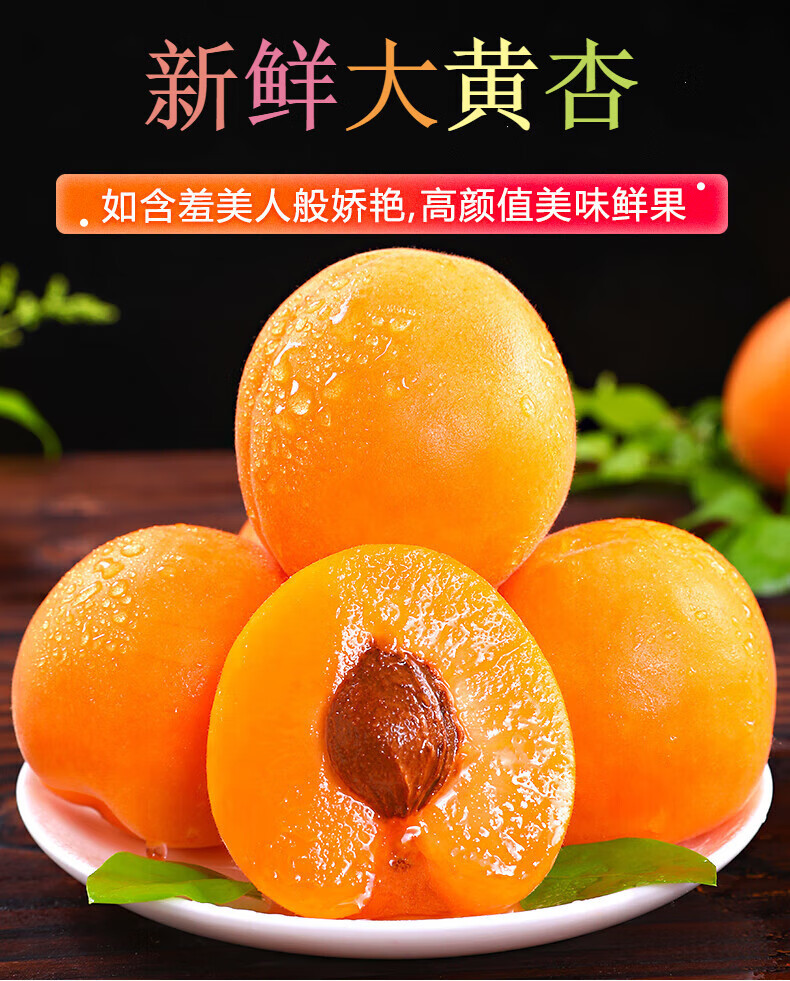 农家自产 陕西大黄杏新鲜水果甜杏子2斤礼盒装