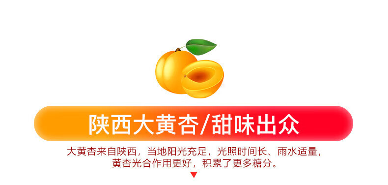 农家自产 陕西大黄杏新鲜水果甜杏子2斤礼盒装