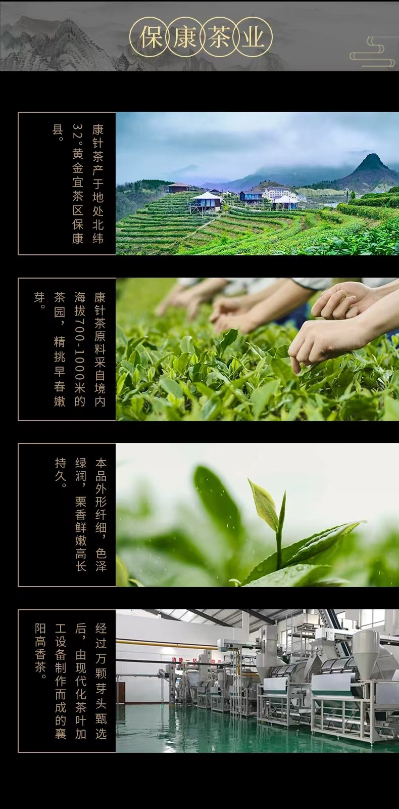 康针  保康县保茶集团 绿茶 针显锋 120g/盒 （10235）