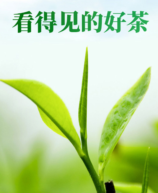 趣峡州 芽毛尖绿茶明前嫩芽茶叶绿茶浓香型手工茶