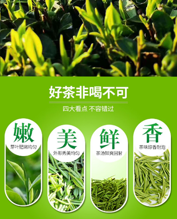 趣峡州 芽毛尖绿茶明前嫩芽茶叶绿茶浓香型手工茶