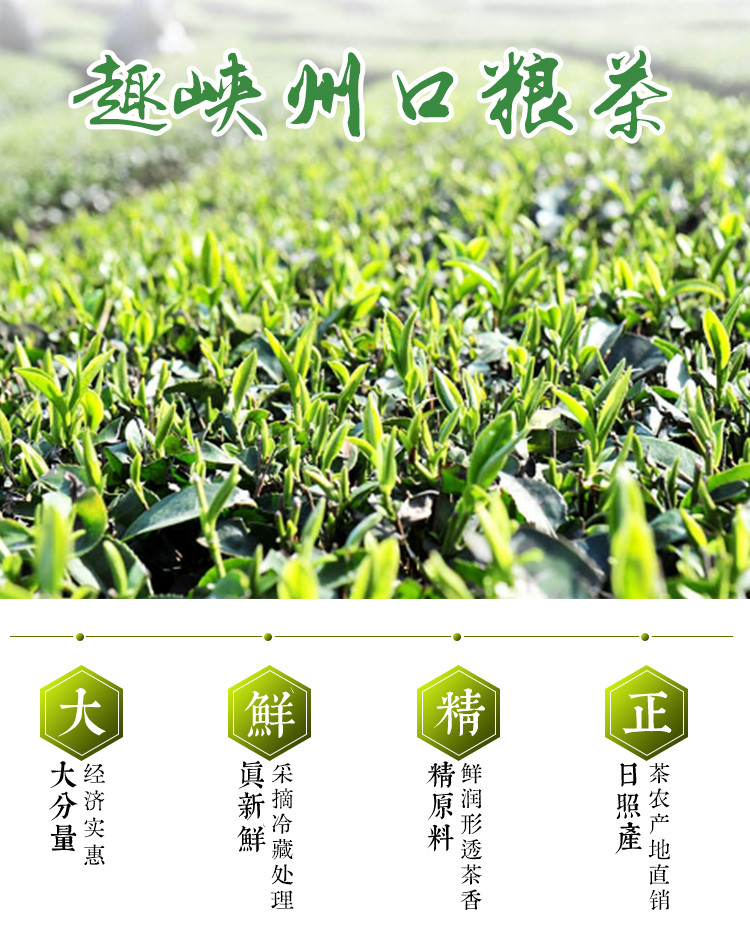 趣峡州 口粮茶嫩芽茶叶浓香型袋装