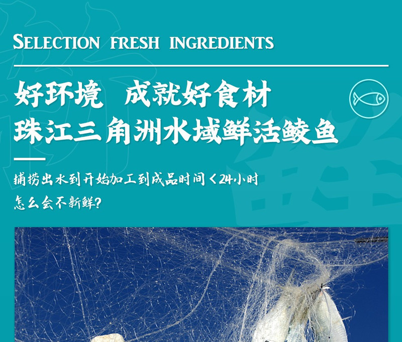 珠江桥 豆豉鲮鱼罐头