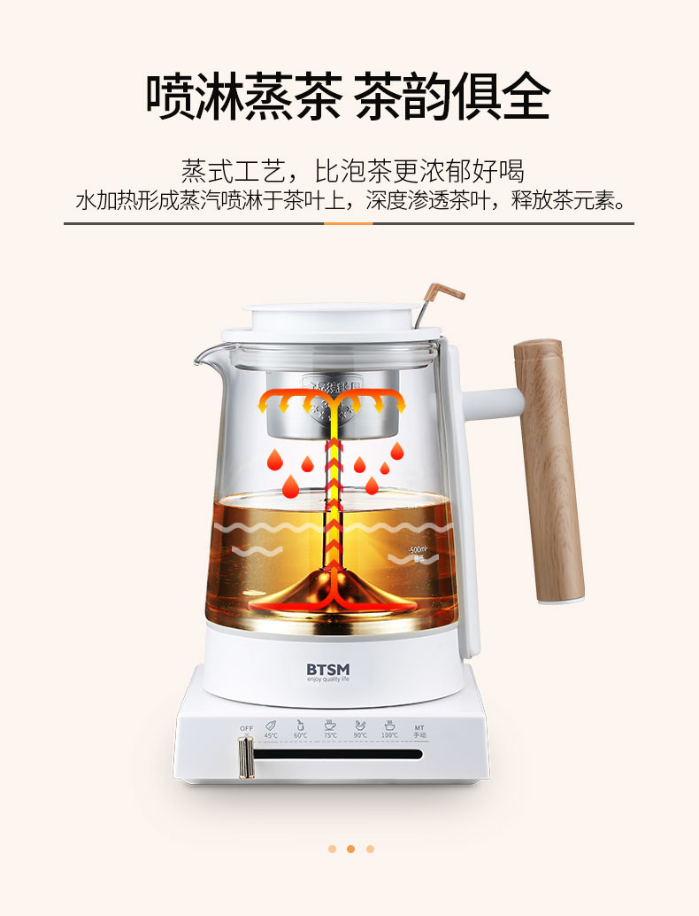 BTSM 煮茶器BMZC-10L