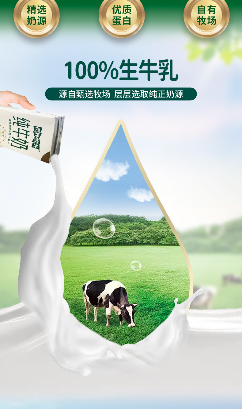 视界牧业 原生蛋白纯牛奶 早餐营养奶 健康优质蛋白