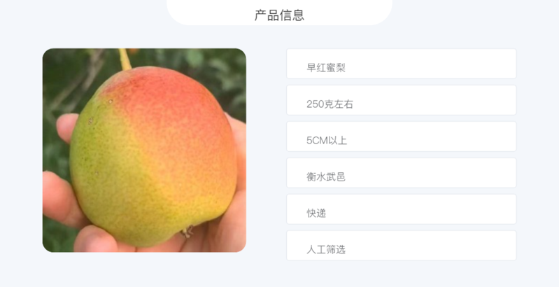 农家自产 【衡邮】武邑早红蜜梨4.5斤