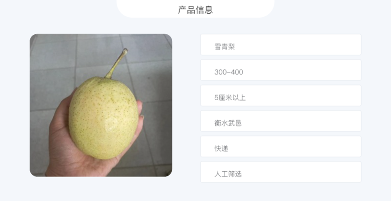 农家自产 【衡邮】武邑特产雪青梨5斤
