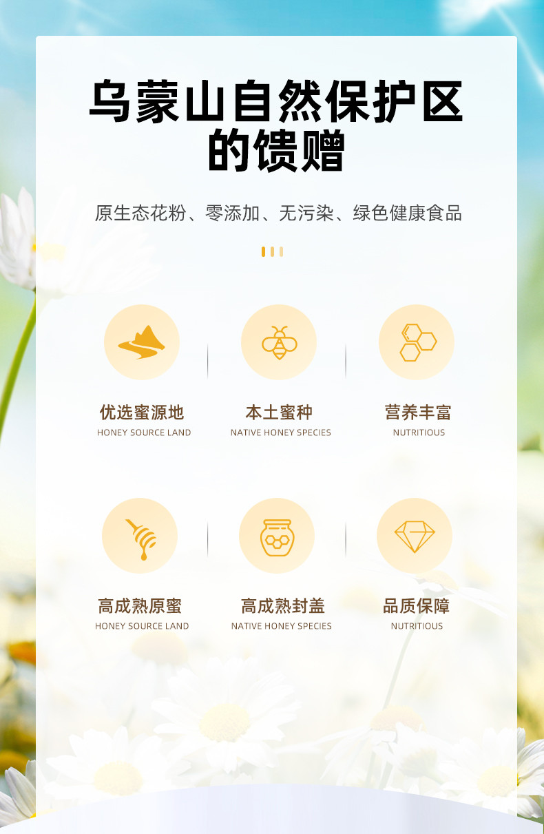 乌蒙勇辉 5倍子蜂蜜252g完全成熟封盖蜜 5倍子蜂蜜252g瓶