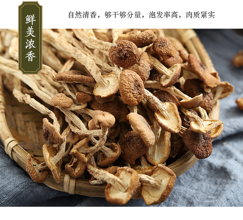 龙泉山 茶树菇