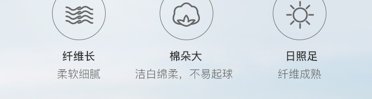  网易严选 40支全棉印花四件套