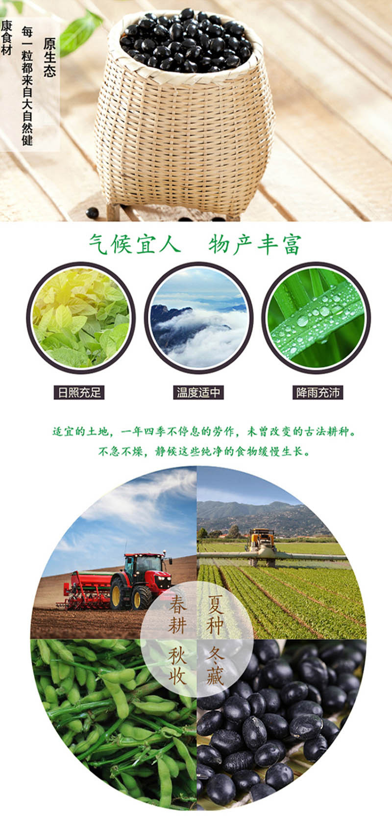  洛阳农品 手绘小镇 黑豆2.5kg嵩县优质有机农产品五谷