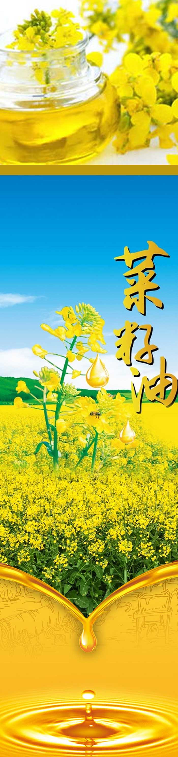 洛阳农品 手绘小镇 鲜榨菜籽油5L嵩县特产传统工艺低温压榨优质食用油