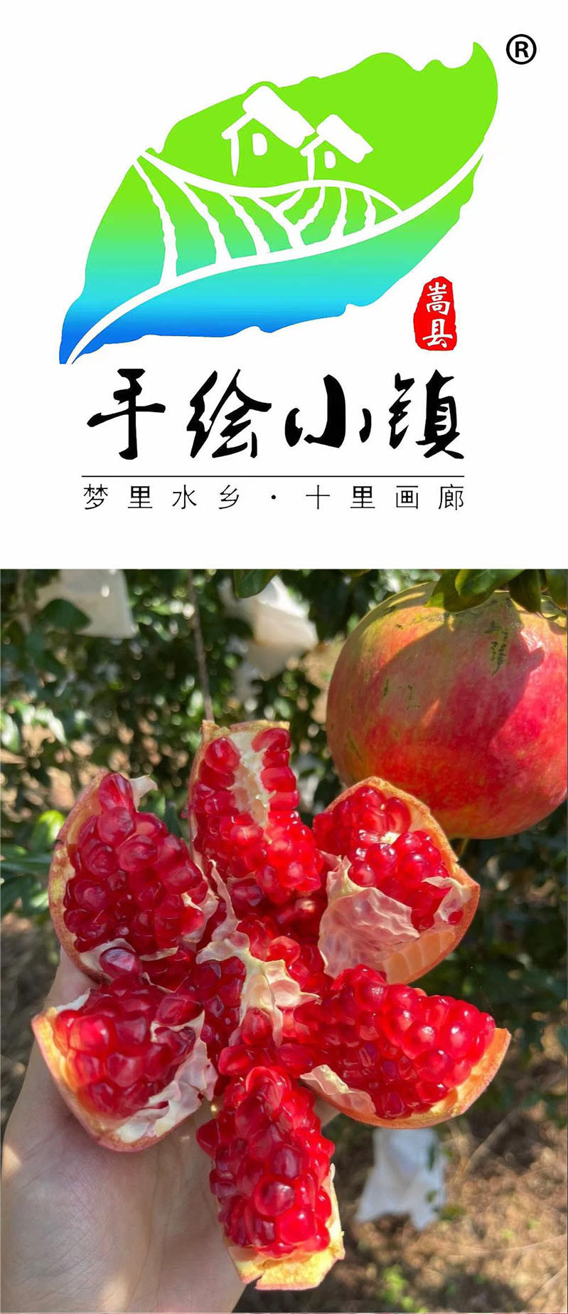  洛阳农品 农家自产 软籽石榴9斤（中大）带箱新鲜现摘皮薄肉多饱满清甜石榴