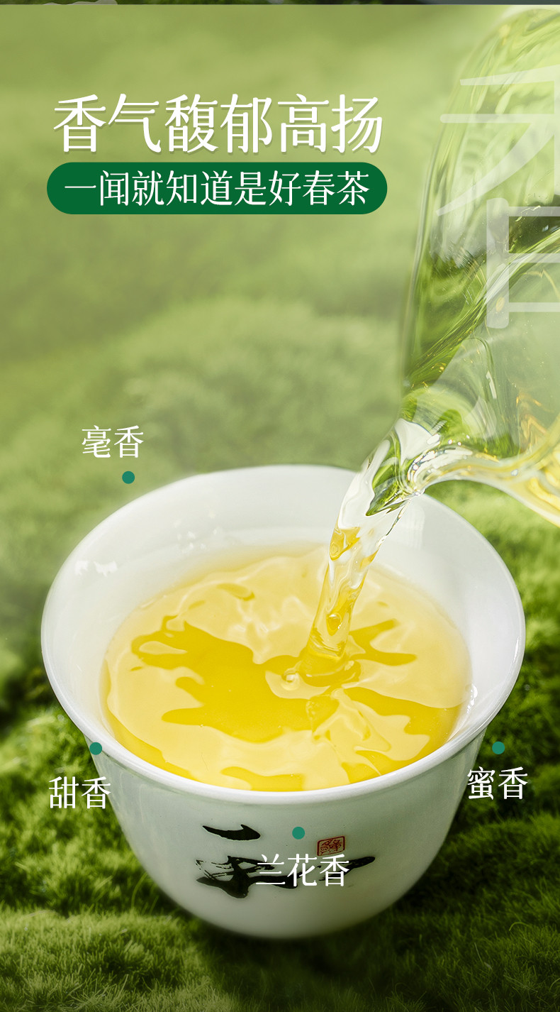 澜沧古茶 2024年景迈春蕊普洱生茶自饮好茶叶