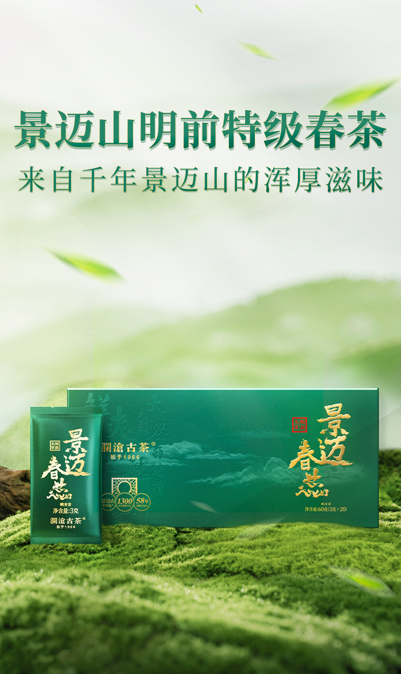 澜沧古茶 2024年景迈春蕊普洱生茶自饮好茶叶