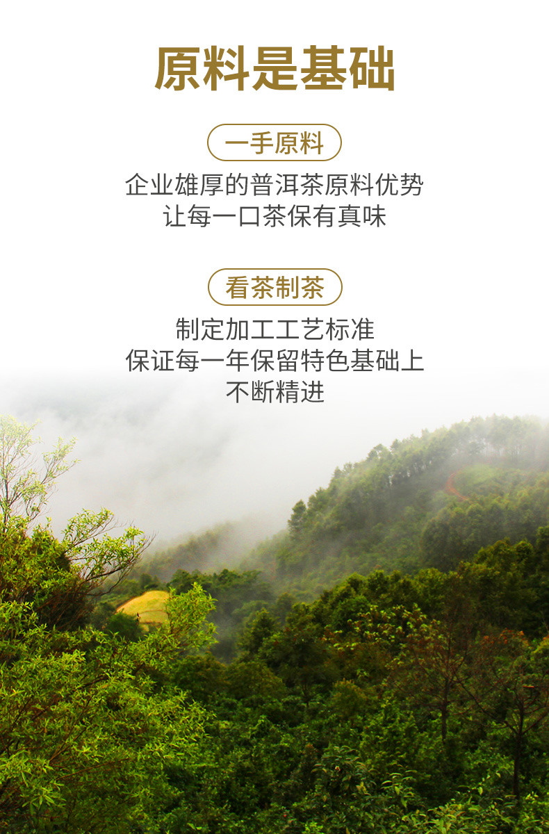 澜沧古茶 2023年遇见澜沧生茶生普茶茶叶高山茶饼