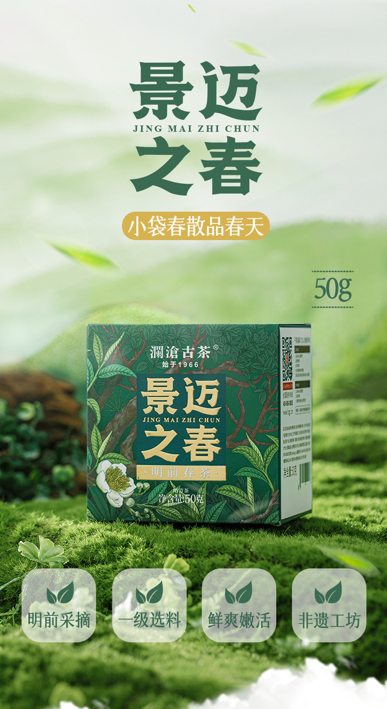 澜沧古茶 2024年景迈之春(散茶)50克【开播福利前50单送马克杯】