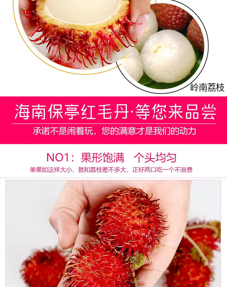 中国邮政  爆甜红毛丹孕妇果毛荔枝热带水果 3斤精选礼盒