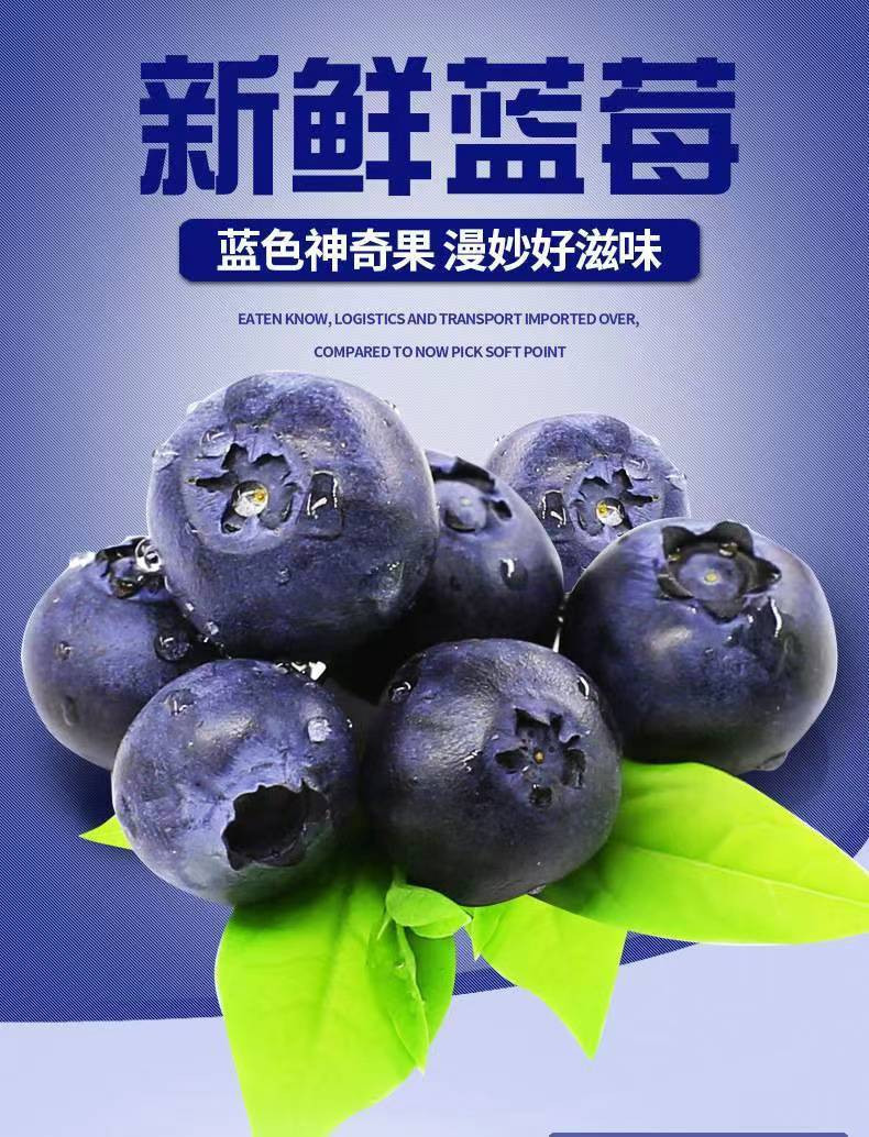 中国邮政 玫瑰香脆口蓝莓（14-18mm）L25