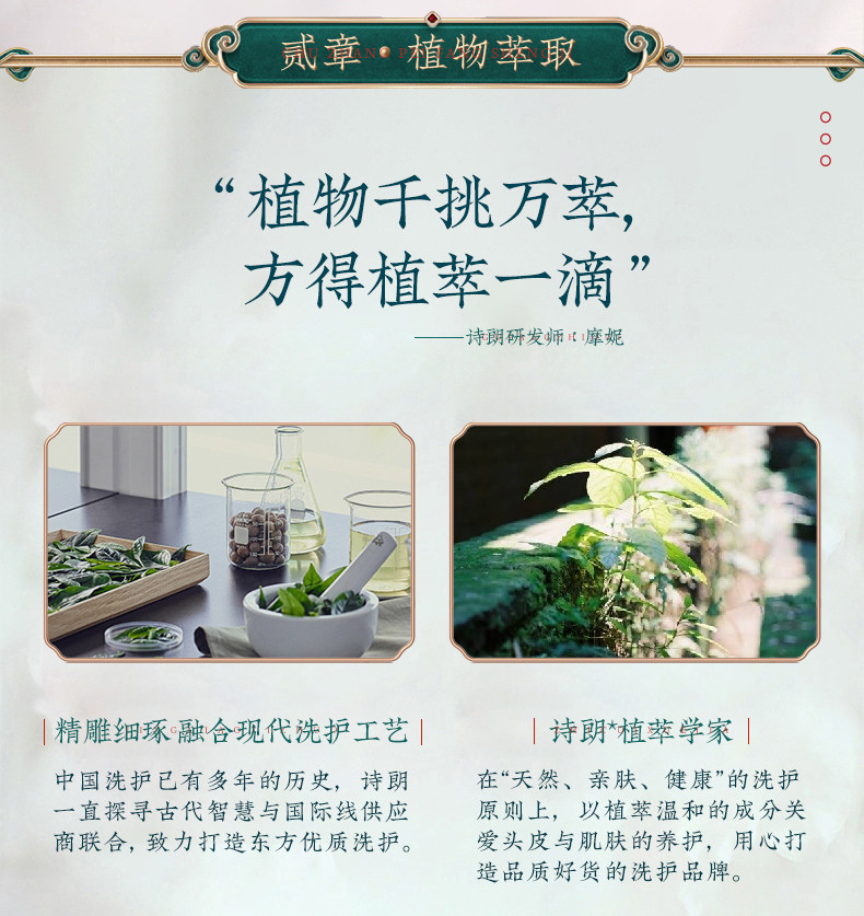 诗朗 植萃茶籽水养丝滑护发素  水养丝滑 改善毛躁干枯柔顺