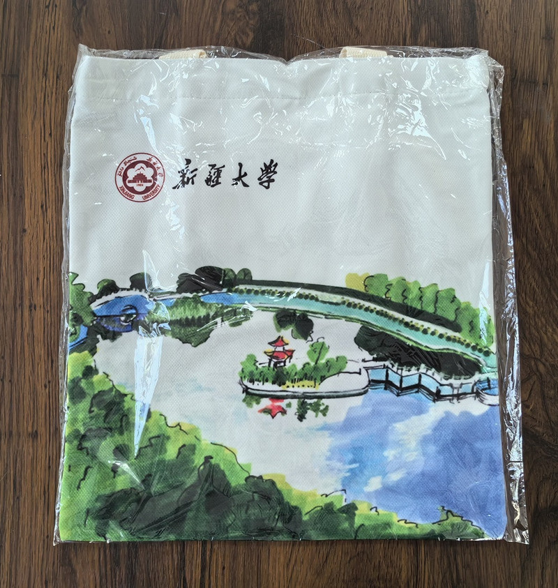 中国邮政 新疆大学校园文创 帆布包（红湖款）