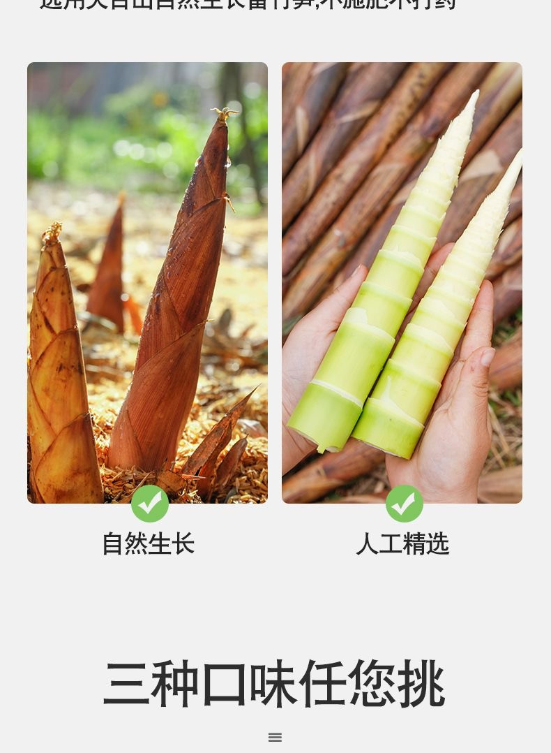  舌尚江湖 手剥笋500g2024新笋开袋即食新香微辣