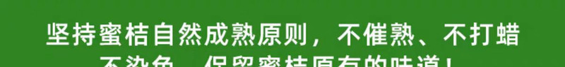 平晏果园 寻乌蜜桔新鲜蜜橘当季现摘水果