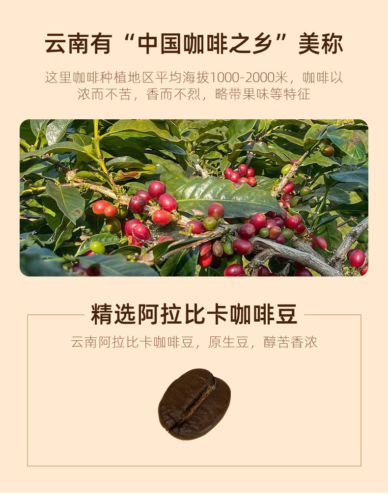 千乐 云南精品小粒咖啡豆中深烘焙500g