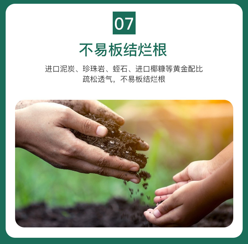 德沃多 营养土养花通用种菜专用土壤进口泥炭土种植花土家用盆栽植物肥料