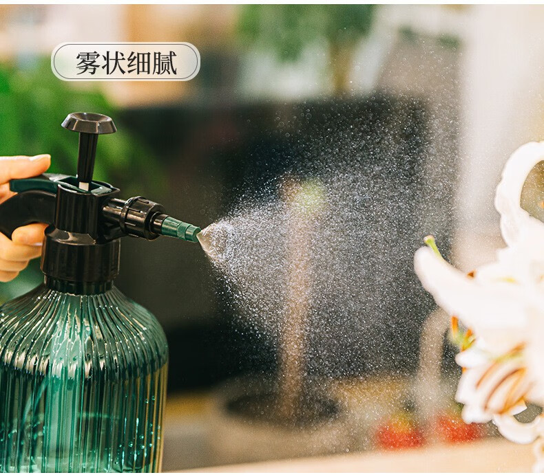 德沃多 喷壶浇花气压式喷水壶园艺小型高压洒水壶家用超细雾清洁消毒专用